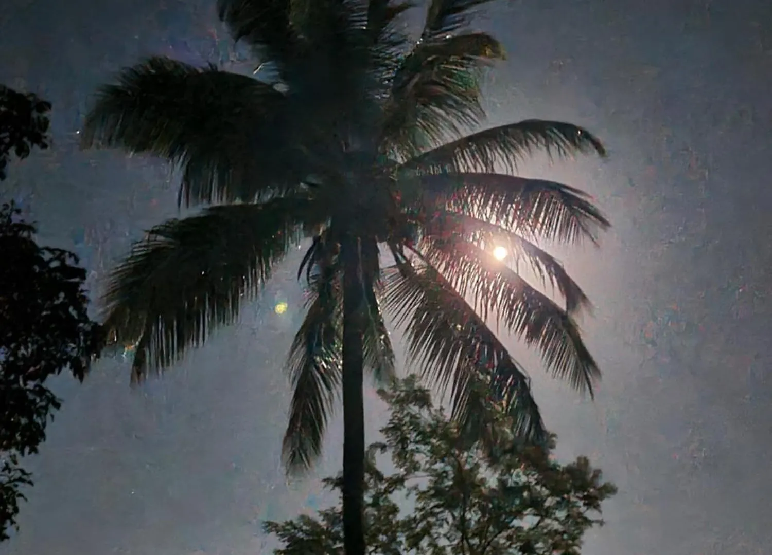 Prázdninový dům La Kaz Nature Bien-Etre Petit-Bourg Guadeloupe