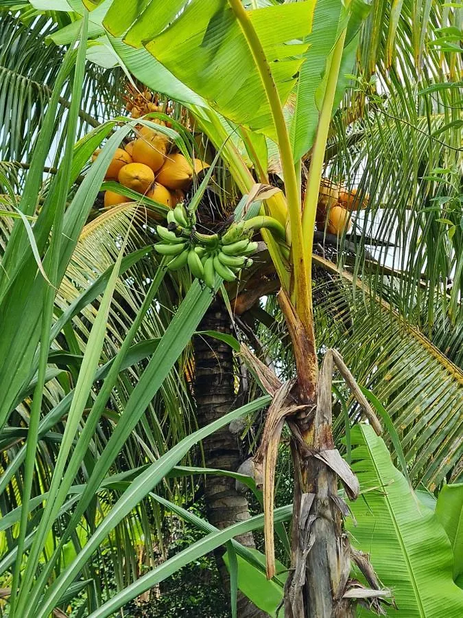 Holiday home La Kaz Nature Bien-Etre Petit-Bourg Guadeloupe