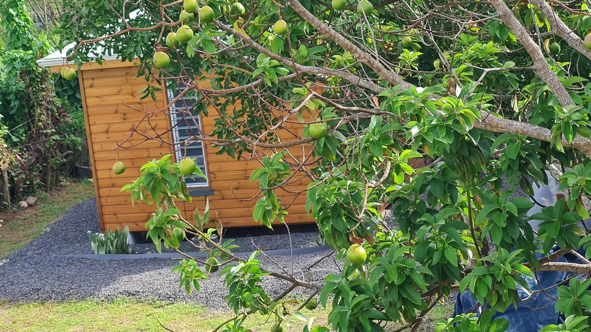 La Kaz Nature Bien-Etre Petit-Bourg Holiday home